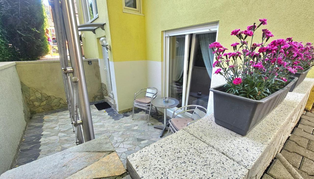 Black Forest Valley - Naehe Europa Park & Rulantica Apartment